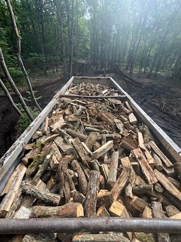 Bois de chauffage sec stocké sous abri ProBois 77 Île-de-France