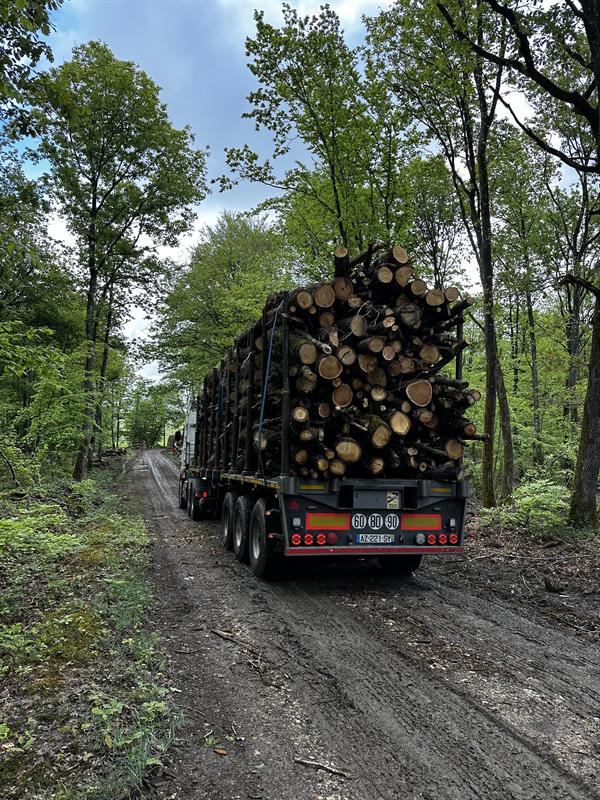 Stères bois sec stockés sous abri Yèbles 77