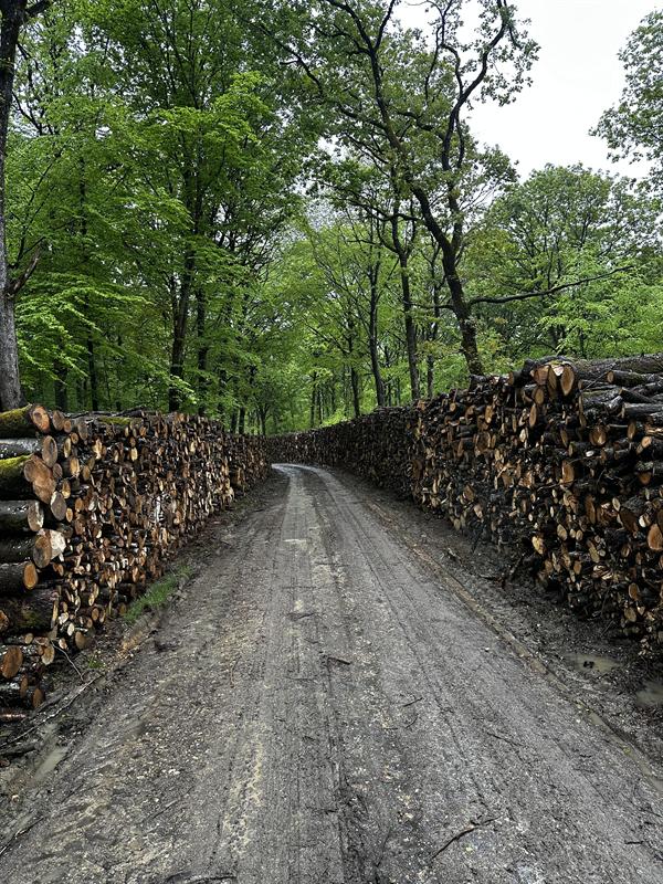 Livraison bois de chauffage Seine-et-Marne ProBois 77