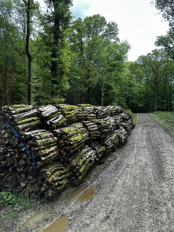 Livraison gratuite bois chauffage 5 stères minimum