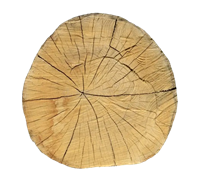 Bois de chauffage charme Seine-et-Marne