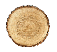 Bois de chauffage chêne 77