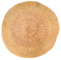 Bois de chauffage hêtre livraison 77